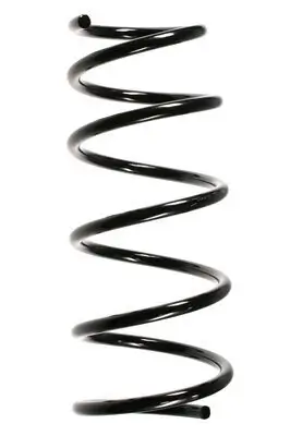 Fahrwerksfeder Vorderachse SPIDAN 56170