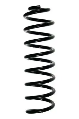 Fahrwerksfeder Hinterachse SPIDAN 56172