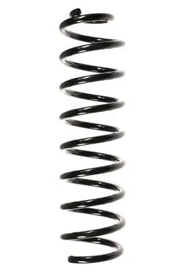 Fahrwerksfeder Hinterachse SPIDAN 56173