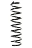 Fahrwerksfeder Hinterachse SPIDAN 56173