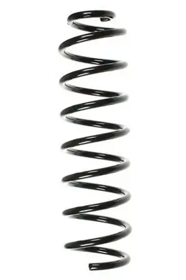Fahrwerksfeder Hinterachse SPIDAN 56174
