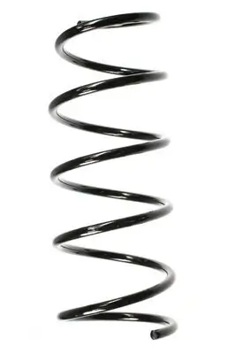 Fahrwerksfeder Vorderachse SPIDAN 56181