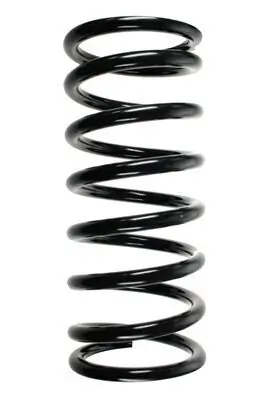 Fahrwerksfeder Hinterachse SPIDAN 56203