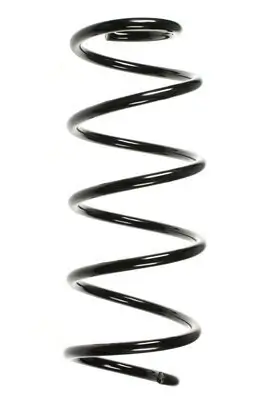 Fahrwerksfeder Vorderachse SPIDAN 56290