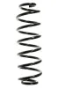 Fahrwerksfeder Hinterachse SPIDAN 56295
