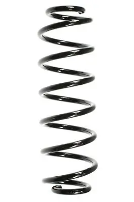 Fahrwerksfeder Hinterachse SPIDAN 56296