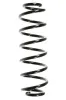 Fahrwerksfeder Hinterachse SPIDAN 56296