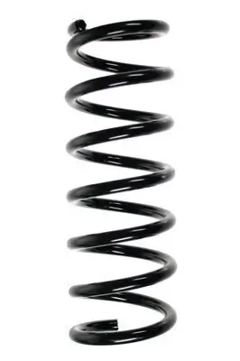 Fahrwerksfeder Hinterachse SPIDAN 56318