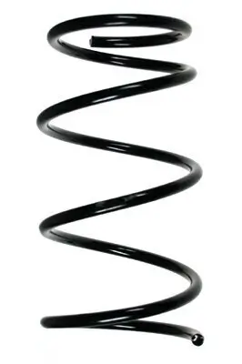 Fahrwerksfeder Vorderachse SPIDAN 56323