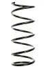 Fahrwerksfeder Vorderachse SPIDAN 56381