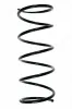 Fahrwerksfeder Vorderachse SPIDAN 56396