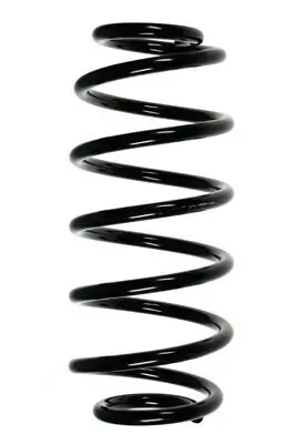 Fahrwerksfeder Hinterachse SPIDAN 56415