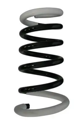 Fahrwerksfeder Hinterachse SPIDAN 56571