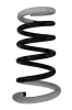 Fahrwerksfeder Hinterachse SPIDAN 56571