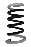 Fahrwerksfeder Hinterachse SPIDAN 56571