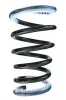 Fahrwerksfeder Hinterachse SPIDAN 56572