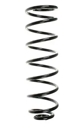 Fahrwerksfeder Hinterachse SPIDAN 56587