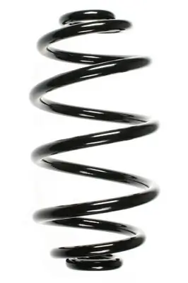 Fahrwerksfeder Hinterachse SPIDAN 56594