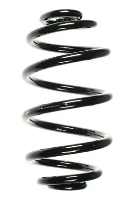 Fahrwerksfeder Hinterachse SPIDAN 56598