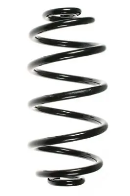 Fahrwerksfeder Hinterachse SPIDAN 56601