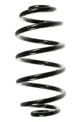 Fahrwerksfeder Hinterachse SPIDAN 56602