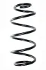 Fahrwerksfeder Vorderachse SPIDAN 56609
