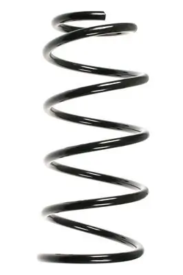 Fahrwerksfeder Vorderachse SPIDAN 56628