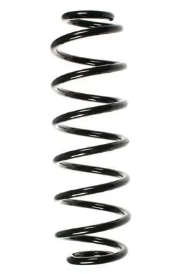 Fahrwerksfeder Hinterachse SPIDAN 56653