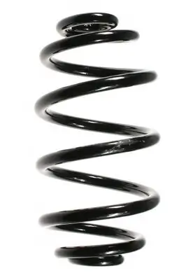 Fahrwerksfeder Hinterachse SPIDAN 56658