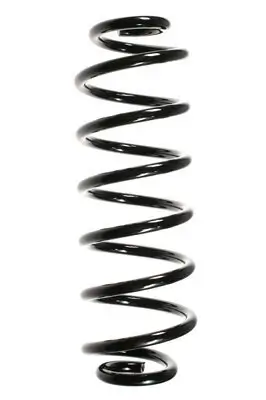 Fahrwerksfeder Hinterachse SPIDAN 56677
