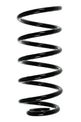 Fahrwerksfeder Hinterachse SPIDAN 56801