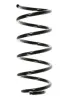 Fahrwerksfeder Hinterachse SPIDAN 56805