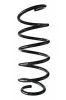 Fahrwerksfeder Vorderachse SPIDAN 56812