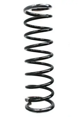 Fahrwerksfeder Hinterachse SPIDAN 56828