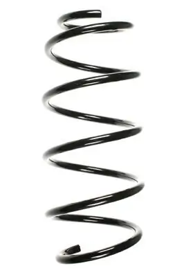 Fahrwerksfeder Vorderachse SPIDAN 56830