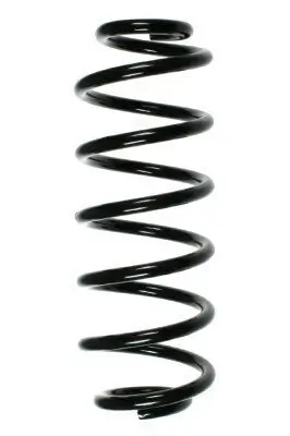 Fahrwerksfeder Hinterachse SPIDAN 56835