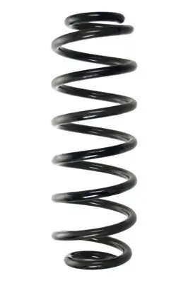 Fahrwerksfeder Hinterachse SPIDAN 56847