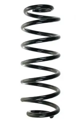 Fahrwerksfeder Hinterachse SPIDAN 56848