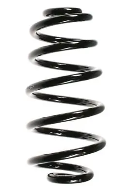 Fahrwerksfeder Hinterachse SPIDAN 56853