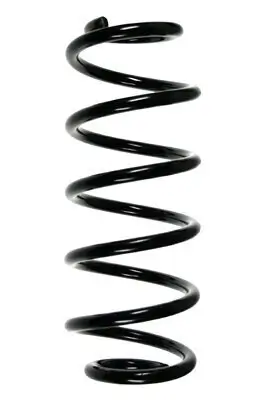 Fahrwerksfeder Vorderachse SPIDAN 56872