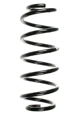 Fahrwerksfeder Vorderachse SPIDAN 56873