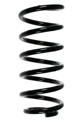 Fahrwerksfeder Hinterachse SPIDAN 56879 Bild Fahrwerksfeder Hinterachse SPIDAN 56879