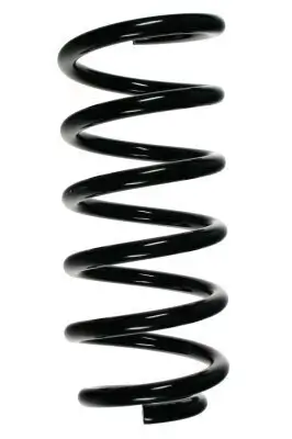 Fahrwerksfeder Hinterachse SPIDAN 56880