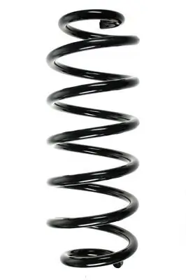 Fahrwerksfeder Vorderachse SPIDAN 56883