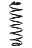 Fahrwerksfeder Hinterachse SPIDAN 56893