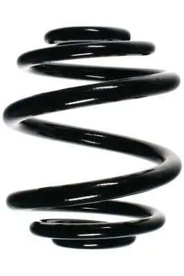 Fahrwerksfeder Hinterachse SPIDAN 56904 Bild Fahrwerksfeder Hinterachse SPIDAN 56904