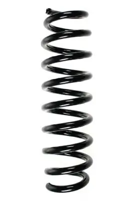 Fahrwerksfeder Hinterachse SPIDAN 56909