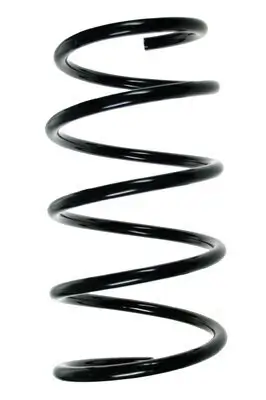 Fahrwerksfeder Vorderachse SPIDAN 56920