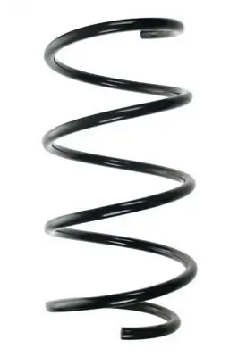 Fahrwerksfeder Vorderachse SPIDAN 56924