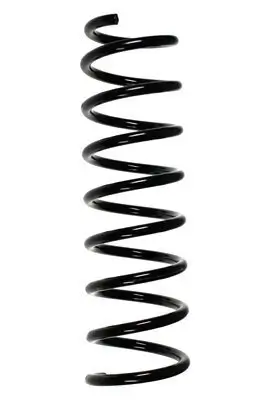 Fahrwerksfeder Hinterachse SPIDAN 56928